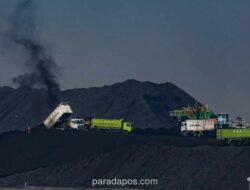 ESDM Pastikan Kuota Penuh untuk PKP2B Generasi I dan BUMN, dengan Kompensasi DMO 30% di Awal Tahun