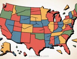 Illinois Bergabung dengan Jaringan Peringatan WHO, Langgar Kebijakan Federal Era Trump