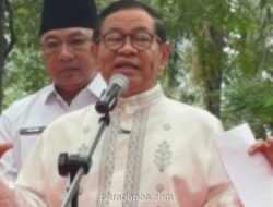 Pemprov DKI Bakar Tebas Lapangan Padel Ilegal dan Bising