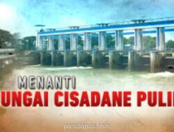Kebakaran Gudang Pestisida di BSD Cemari Sungai Cisadane, Ribuan Ikan Mati