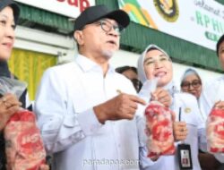 Pemerintah Jamin Serap Penuh Produksi Ayam dan Telur Peternak Rakyat untuk Program Makan Bergizi Gratis