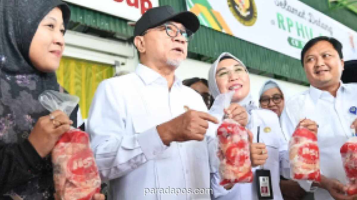 Pemerintah Jamin Serap Penuh Produksi Ayam dan Telur Peternak Rakyat untuk Program Makan Bergizi Gratis