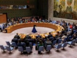 Menlu Sugiono Pimpin Delegasi RI di Sidang DK PBB Bahas Krisis Palestina