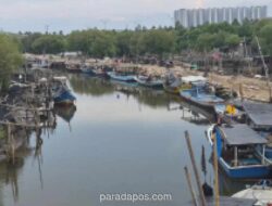 Ribuan Biota Laut Mati, Aktivitas Nelayan Tangerang Terhenti Total
