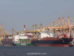 AS Hapus Tarif Impor Sawit, Kopi, dan Kakao Indonesia, Pelaku Industri Soroti Potensi Produk Hilir