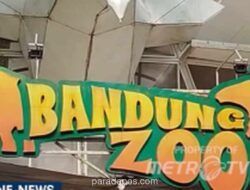 Kebun Binatang Bandung Disegel Tiga Bulan, Pemerintah Siapkan Konsep Baru