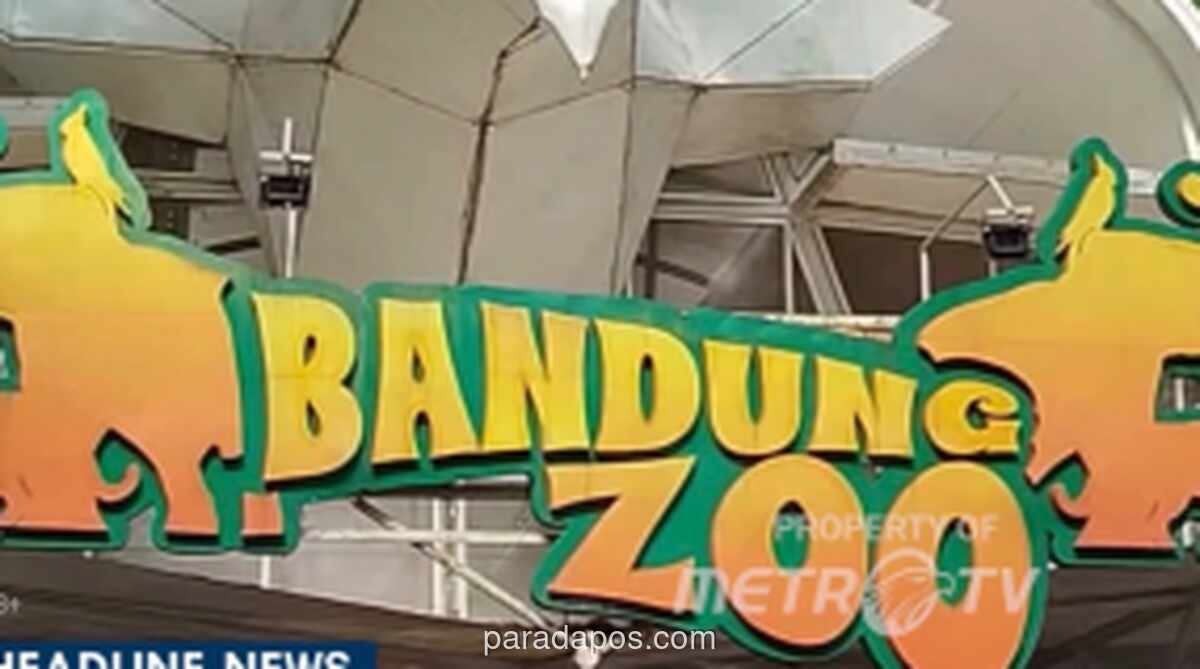 Kebun Binatang Bandung Disegel Tiga Bulan, Pemerintah Siapkan Konsep Baru