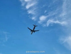 Pesawat Komersial Ditembak di Papua, Dua Pilot Tewas