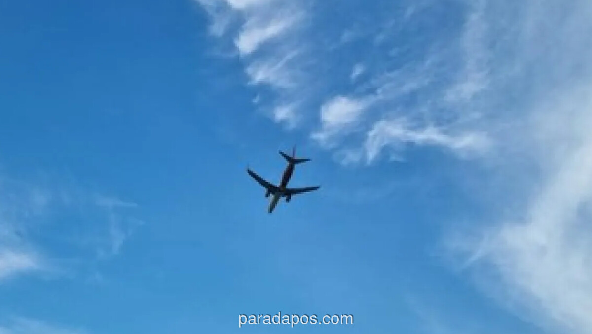 Pesawat Komersial Ditembak di Papua, Dua Pilot Tewas