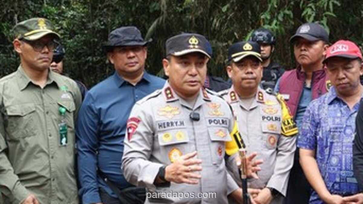 Polda Riau Selidiki Kematian Gajah Sumatera Diduga Diburu untuk Gading di Pelalawan