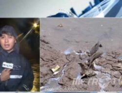 Polisi dan DLH Selidiki Dugaan Pencemaran Kimia di Sungai Cisadane Pascakebakaran Gudang