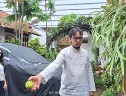 Pameran Artefak Nabi Muhammad hingga Putusan MA AS Warnai Berita Nasional