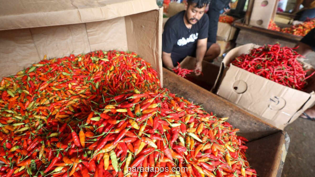 Harga Cabai Rawit dan Protein Hewani Naik Menjelang Ramadan di Cirebon