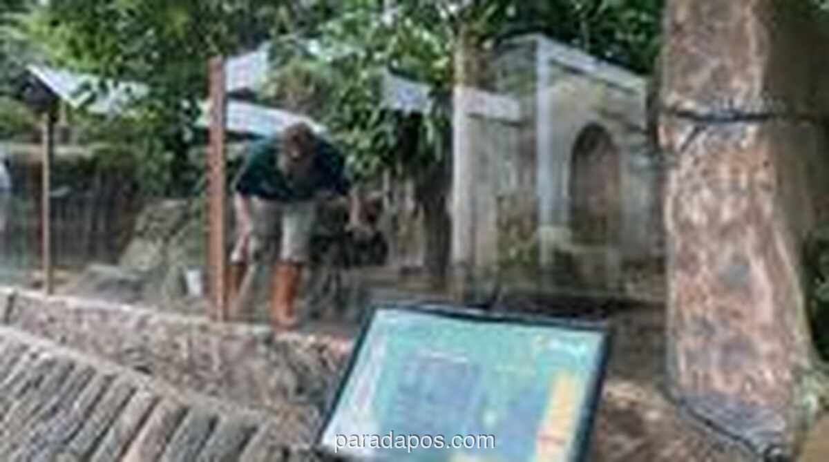 Nasib 124 Pekerja Bandung Zoo Dipertaruhkan Usai Pencabutan Izin Pengelolaan