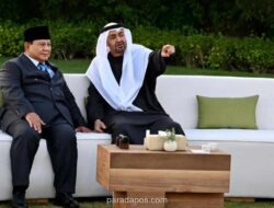 Presiden UAE Komitmen Tingkatkan Investasi di Indonesia dalam Pertemuan dengan Prabowo