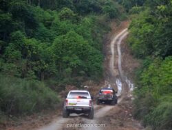 Ahli IPB Peringatkan Deforestasi Tingkatkan Populasi Nyamuk dan Risiko Wabah
