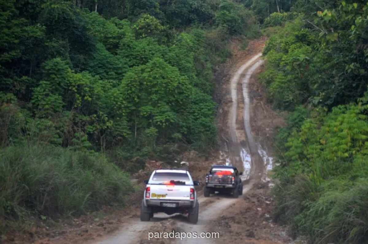 Ahli IPB Peringatkan Deforestasi Tingkatkan Populasi Nyamuk dan Risiko Wabah