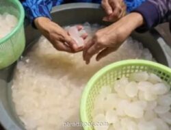 Ramadhan, Permintaan Kolang-Kaling Melonjak di Pasar Induk Kramat Jati