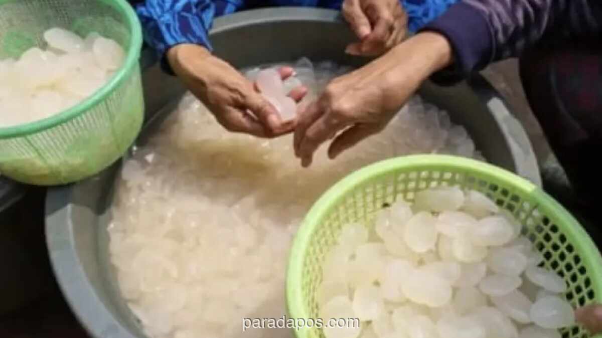 Ramadhan, Permintaan Kolang-Kaling Melonjak di Pasar Induk Kramat Jati