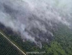 Operasi Gabungan Intensifkan Pemadaman Karhutla di Pulau Mendol, Pelalawan