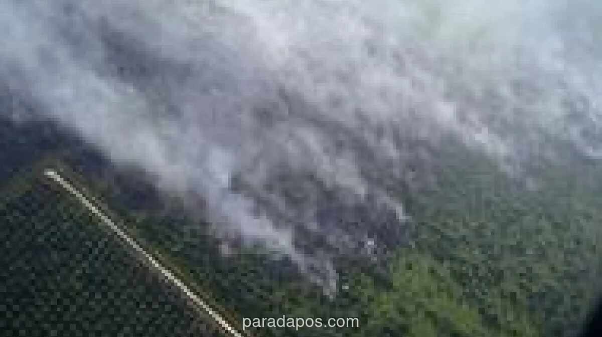 Operasi Gabungan Intensifkan Pemadaman Karhutla di Pulau Mendol, Pelalawan