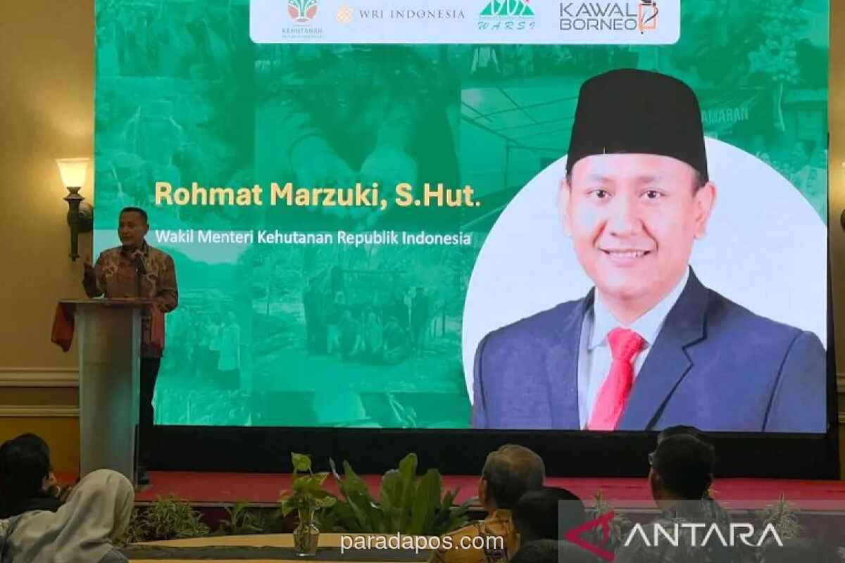 Pemerintah Prioritaskan Rehabilitasi Lahan Perhutanan Sosial yang Rusak Akibat Banjir di Sumatera