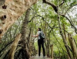 Pemerintah Pacu Pariwisata Berkelanjutan, Targetkan 17,6 Juta Wisman di 2026