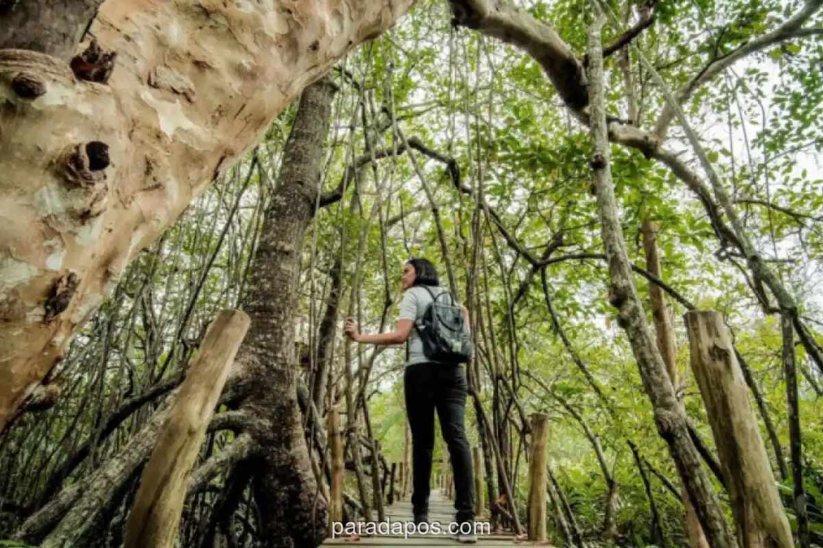 Pemerintah Pacu Pariwisata Berkelanjutan, Targetkan 17,6 Juta Wisman di 2026