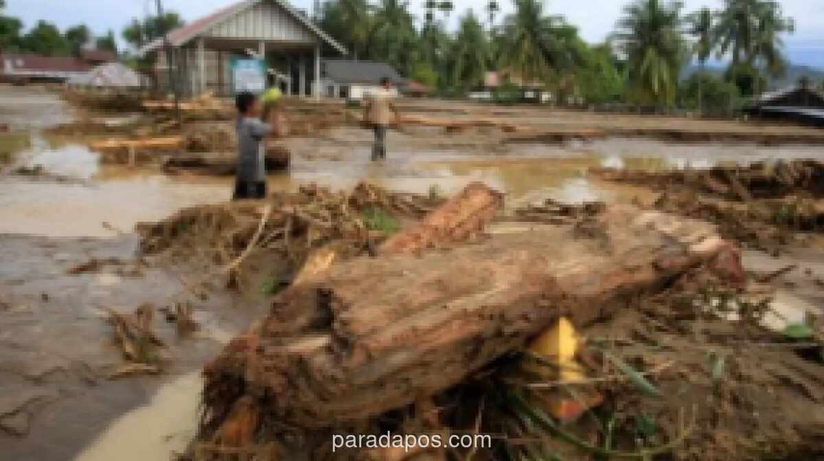 Psikolog Ungkap Daya Pulih Penyintas Banjir di Desa Lebih Cepat Dibanding Kota