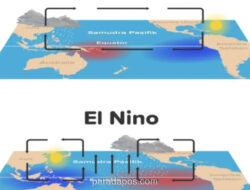 AAUI Ingatkan Industri Asuransi Waspadai Dampak El Niño Godzilla