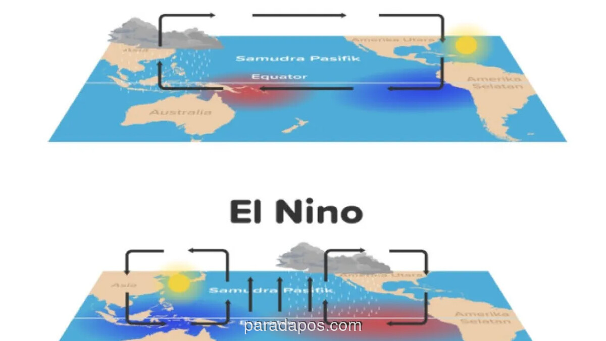 AAUI Ingatkan Industri Asuransi Waspadai Dampak El Niño Godzilla
