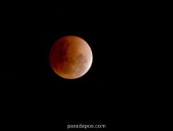 BMKG Konfirmasi Gerhana Bulan Total Blood Moon Akan Terlihat di Seluruh Indonesia pada 3 Maret 2026