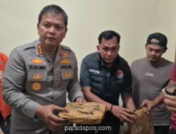 Polisi Bongkar Modus Kirim 41 Kg Ganja dalam Kemasan Bubuk Kopi