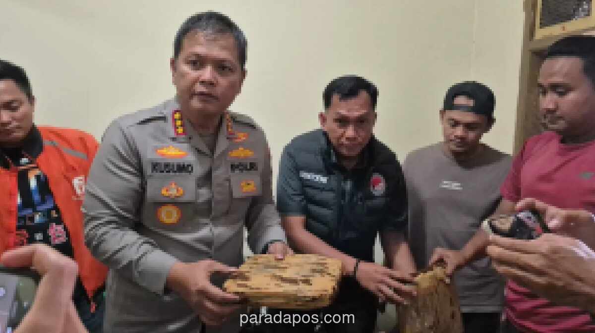 Polisi Bongkar Modus Kirim 41 Kg Ganja dalam Kemasan Bubuk Kopi