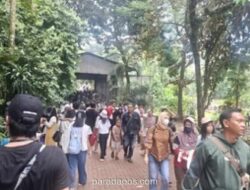 Ragunan Catat 60 Ribu Pengunjung di H+2 Lebaran, Diprediksi Tembus 100 Ribu