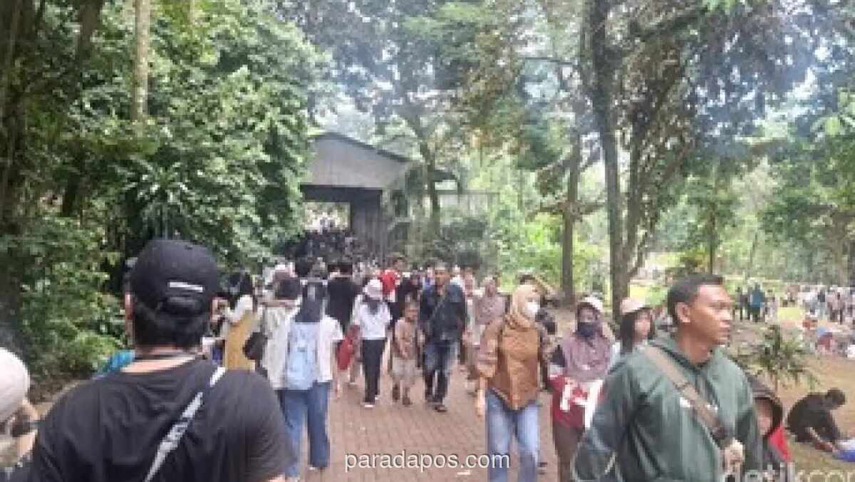 Ragunan Catat 60 Ribu Pengunjung di H+2 Lebaran, Diprediksi Tembus 100 Ribu