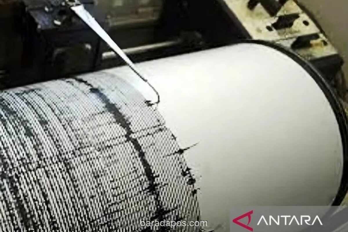 Sulawesi Tenggara Diguncang Rangkaian Gempa Dangkal, Belum Ada Laporan Kerusakan