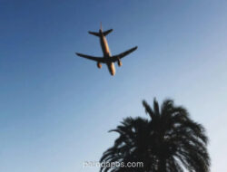 Teknologi Pelacakan Penerbangan Real-Time Kini Mudah Diakses via Ponsel