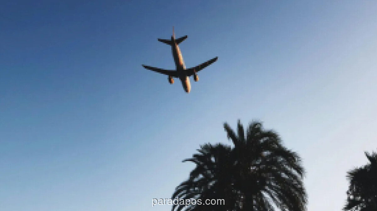 Teknologi Pelacakan Penerbangan Real-Time Kini Mudah Diakses via Ponsel