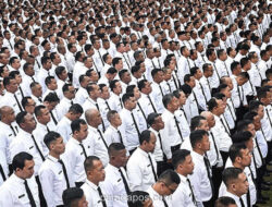 Pemangkasan Dana Transfer ke Daerah Picu Ancaman PHK Ribuan PPPK