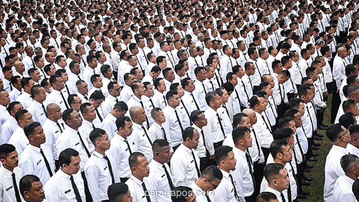 Pemangkasan Dana Transfer ke Daerah Picu Ancaman PHK Ribuan PPPK