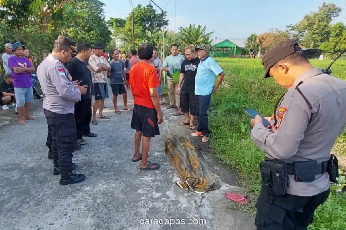 Buruh Tani 80 Tahun Ditemukan Tewas di Saluran Irigasi Bantul