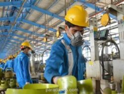 Gejolak Minyak Dunia, Projo Usul Pemerintah Bentuk Badan Pengendali LPG Subsidi