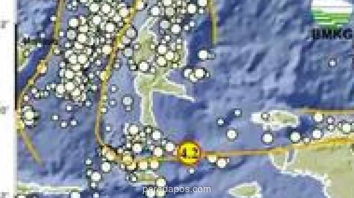 Gempa Magnitudo 4,2 Guncang Halmahera Selatan, Belum Ada Laporan Kerusakan