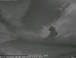 Gunung Lewotobi Laki-Laki Erupsi, Status Waspada Dipertahankan