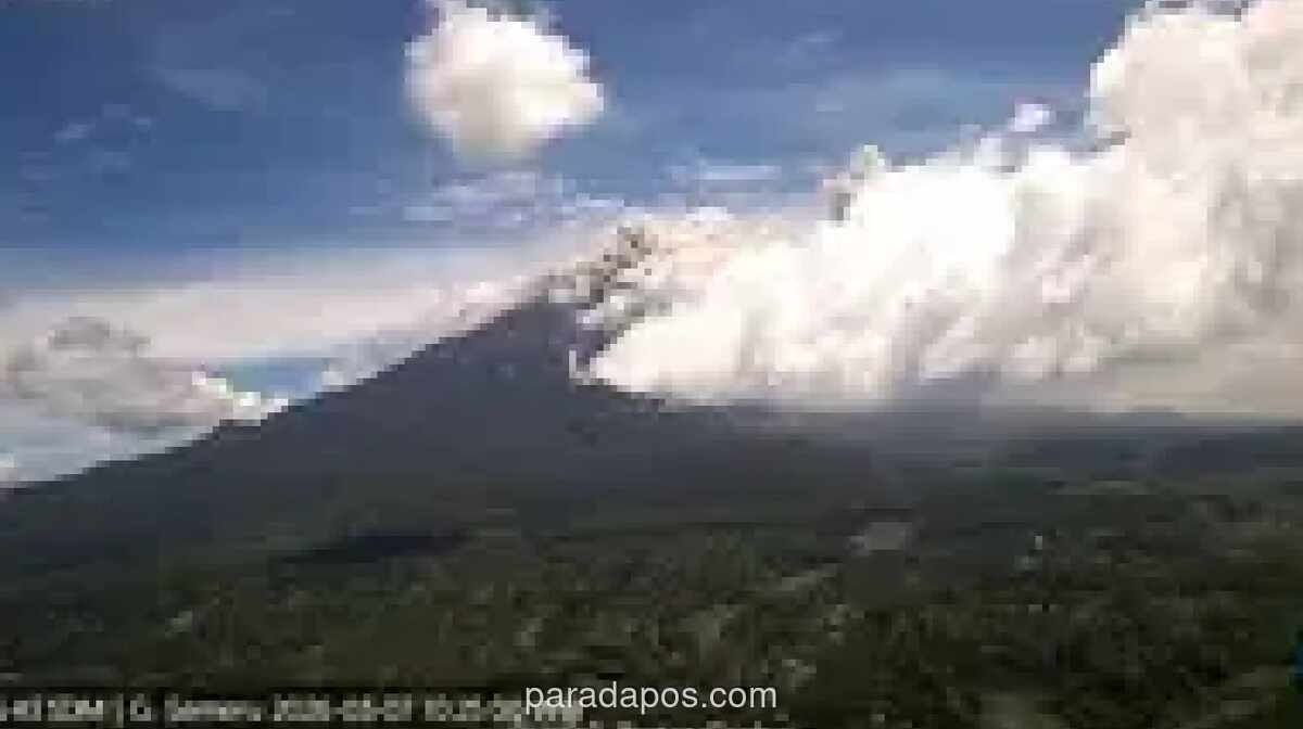 Gunung Semeru Erupsi, Luncurkan Awan Panas ke Besuk Kobokan