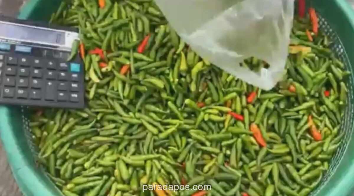 Harga Cabai Rawit Merah Tembus Rp90 Ribu per Kg di Pasar Jambi Jelang Lebaran