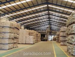 Harga Pakan Unggas Turun Sejak Februari, Beban Biaya Produksi Peternak Diringankan