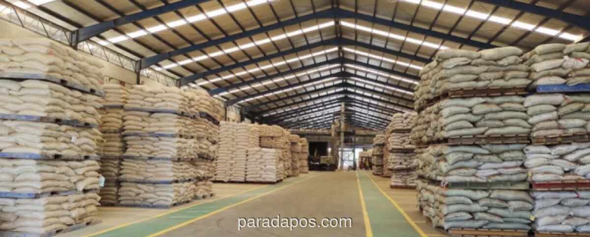 Harga Pakan Unggas Turun Sejak Februari, Beban Biaya Produksi Peternak Diringankan