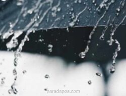 BMKG Peringatkan Potensi Hujan Lebat hingga Sangat Lebat di Sejumlah Provinsi